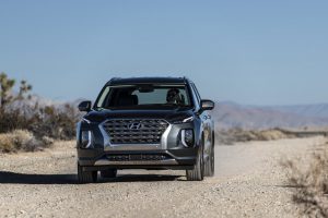 5ed952be-hyundai-palisade-la-live-pics-56