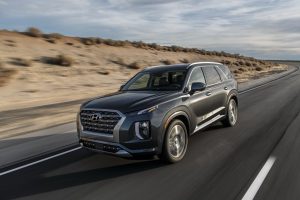 77e6f160-hyundai-palisade-la-live-pics-23