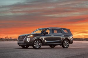 84e0f6b0-hyundai-palisade-la-live-pics-34