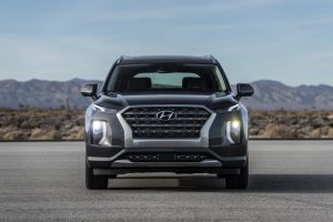 a4f404e7-hyundai-palisade-la-live-pics-20