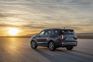 bb221cb9-hyundai-palisade-la-live-pics-29