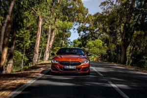 d4d4af33-2019-bmw-8-series-coupe-273