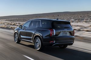 ed28e4ee-hyundai-palisade-la-live-pics-45