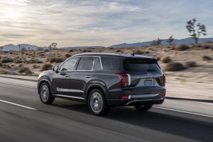 fbeab46d-hyundai-palisade-la-live-pics-26