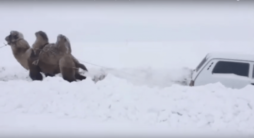 Screenshot 2019-02-11 at 08.09.13