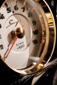 d3e5327a-singer_dls_38