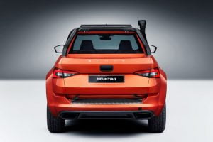 8920ee5c-2019-skoda-mountiaq-concept-4
