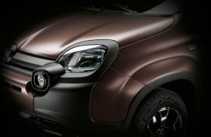 09ed312f-2020-fiat-panda-trussardi-30