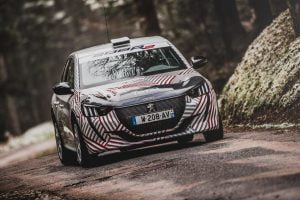 2020-peugeot-208-rally-4-car-8