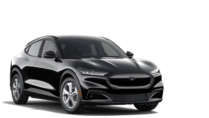 usacgw01yywvs-kxacmra(a)(a)pnzatshowroom_0_0