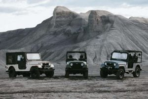 2020-Mahindra-Roxor-24