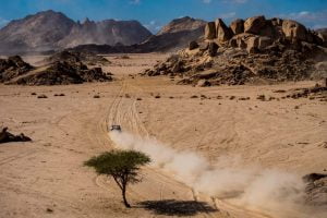 AP-22QDYS42S2111_news