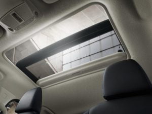 Nissan-Navara-N-Guard-SV3-04