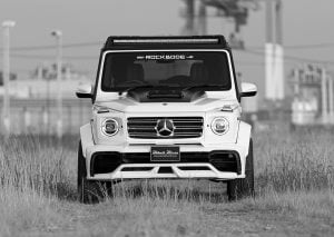 2019-mercedes-benz-g-class-tuning-wald-3