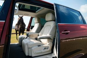 VW-Viloran-China-spec-8