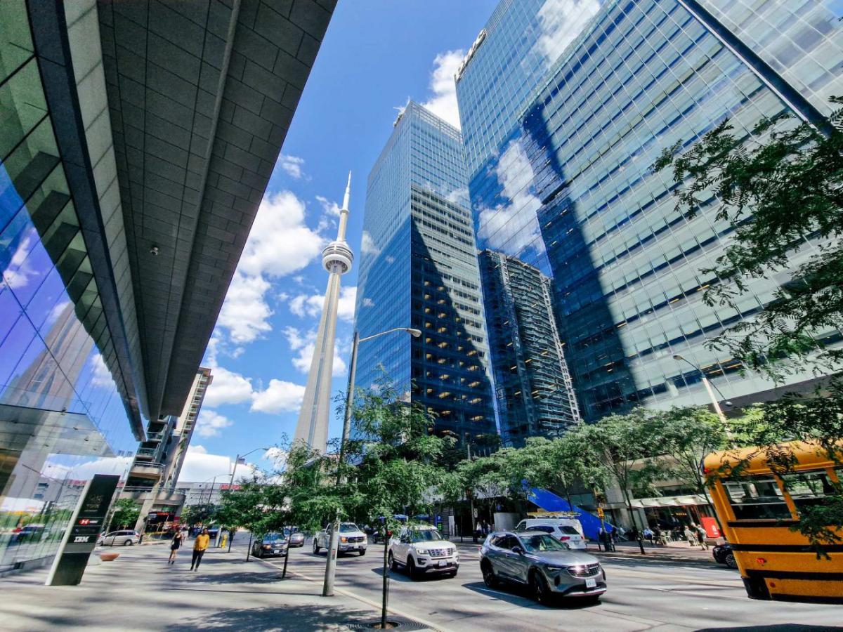 > <img data-lazyloaded=