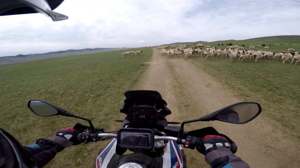  /></div></div><style>#col-1482924799 > .col-inner {
  padding: 20px 20px 20px 20px;
}
@media (min-width:550px) {
  #col-1482924799 > .col-inner {
    padding: 40px 40px 40px 40px;
  }
}</style></div></div></div><style>#section_1985877380 {
  padding-top: 0px;
  padding-bottom: 0px;
}
@media (min-width:550px) {
  #section_1985877380 {
    padding-top: 0px;
    padding-bottom: 0px;
  }
}</style></section><div class=