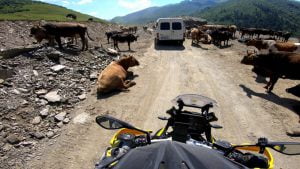 vlcsnap-2022-08-28-11h17m27s190