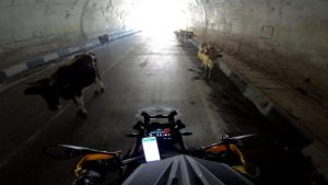 vlcsnap-2022-08-28-11h18m19s124